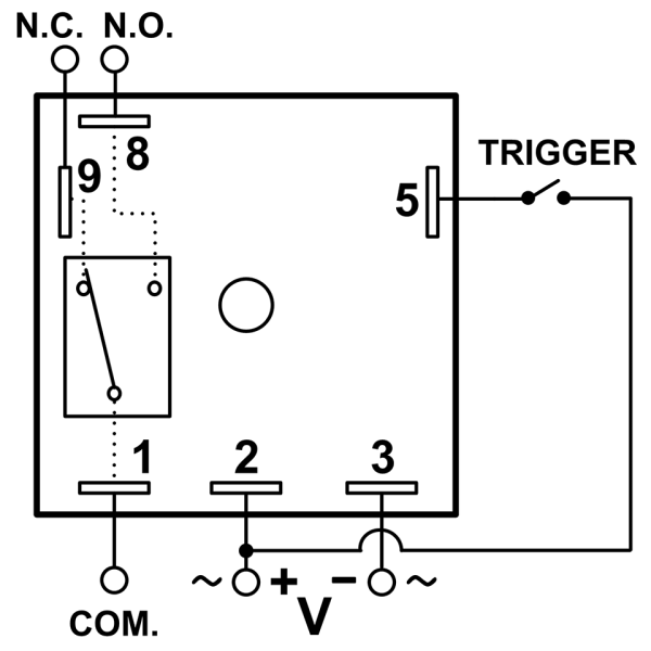 TH41566-33T - Image 4